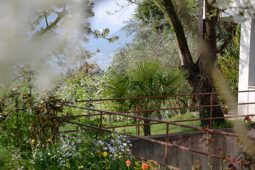 Hotel Tannerhof Merano Ngoại thất bức ảnh